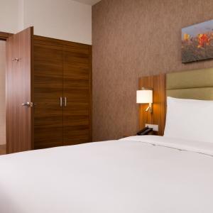 Hotel Hilton Garden Inn Orenburg