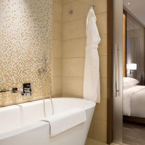 Hotel Hyatt Regency Moscow Petrovsky Park