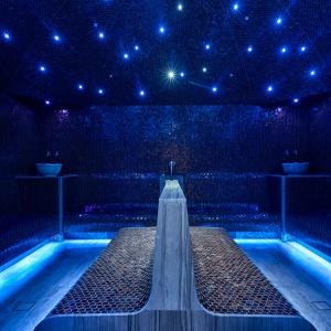 Hotel Hyatt Regency Moscow Petrovsky Park