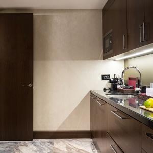 Hotel Hyatt Regency Moscow Petrovsky Park