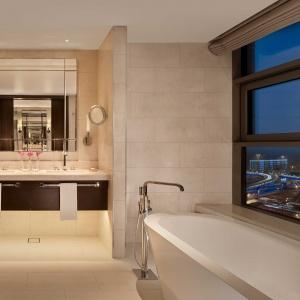 Hotel Hyatt Regency Moscow Petrovsky Park
