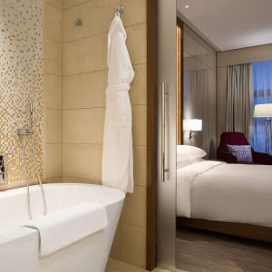 Hotel Hyatt Regency Moscow Petrovsky Park