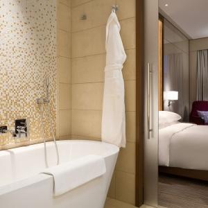 Hotel Hyatt Regency Moscow Petrovsky Park