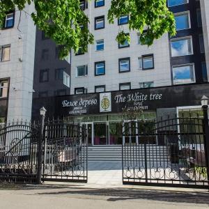 Гостиница Белое Дерево