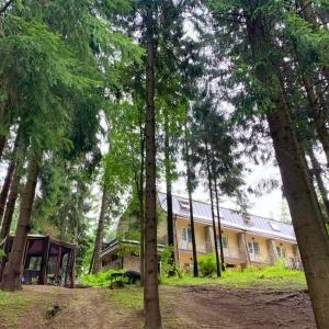 Accomodation facility House of Hunter Guest House