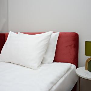 Hotel Petrovka 17