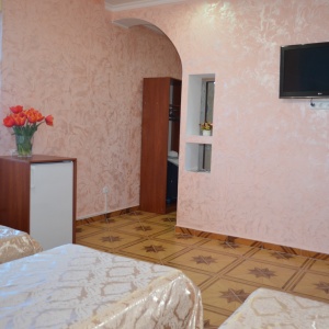 Hotel Miru Mir