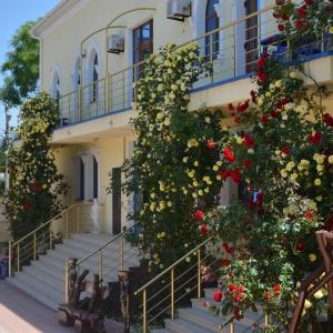 Hotel Miru Mir