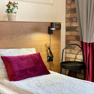 Accomodation facility V Tsentre