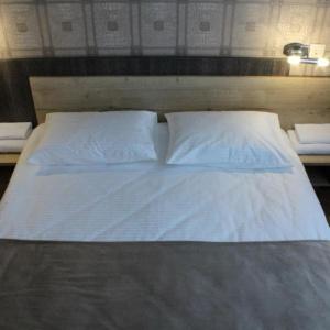 Hotel Cosmos