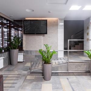 Hotel Furor