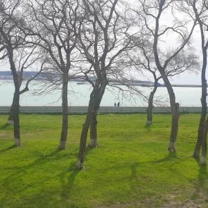 Иное жильё Дольче Вита Клаб Гостевой Дом