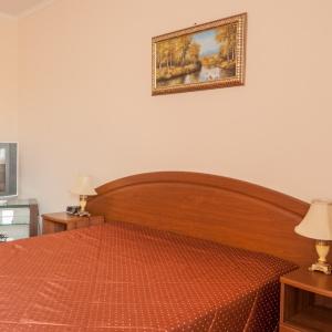 Hotel Niva