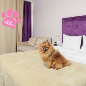 Hotel Fioleto Ultra All Inclusive & Spa Anapa Miracleon