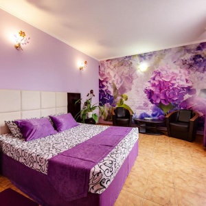 Hotel Marton Lion