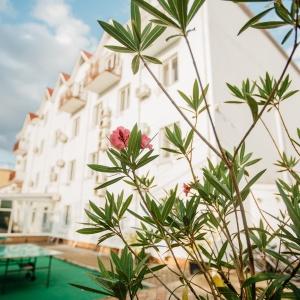 Hotel Brigantina