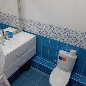Гостиница Визит
