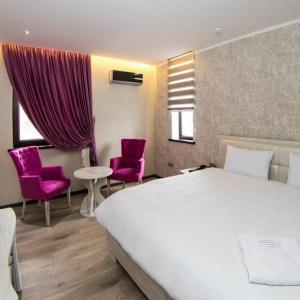 Aster Hotel Group
