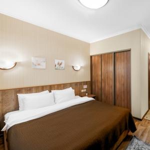Aerohotel