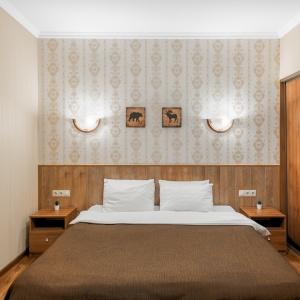 Aerohotel