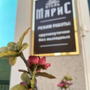 Гостиница Марис