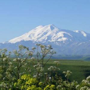 Гостиница Марис