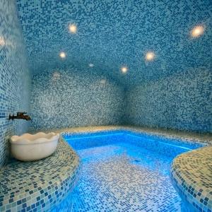 Max Spa Hotel