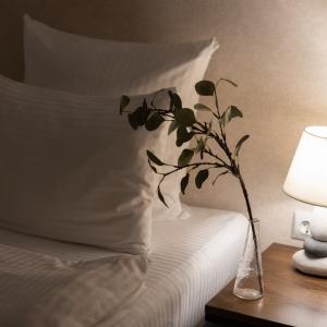 Neozoom Hotel (f. Zoom Hotel)