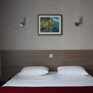 Hotel Aron