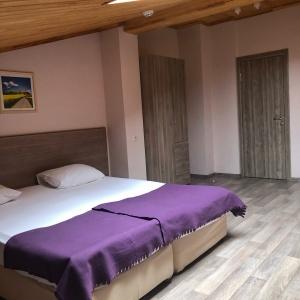 Hotel Aron