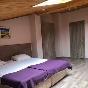 Hotel Aron