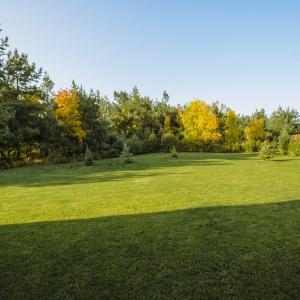 Hotel Eco Forrest Club Spa