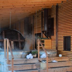 Гостиница Лес Вилладжес Курорт Пересвет