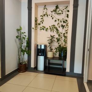 Hotel Zarechye