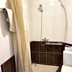Иное жильё ДаниЭли