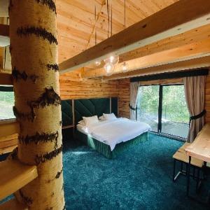 Hotel Maralnik Altai Palace