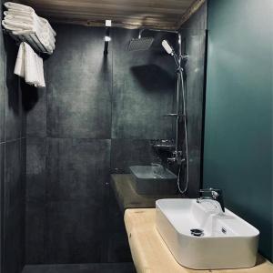 Hotel Maralnik Altai Palace