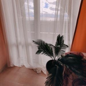 Recr.center Blagoveshchenka Park-Hotel