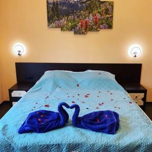 Accomodation facility Constanta
