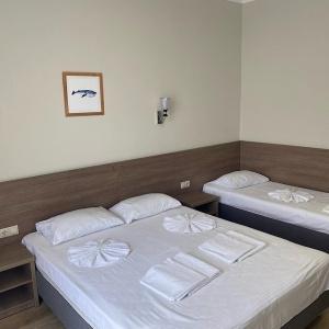 Иное жильё Панорама