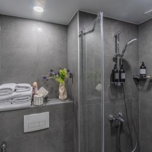 Accomodation facility SalutApart 2 Apartments