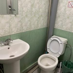 Иное жильё Аисты