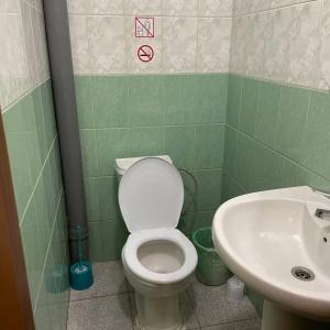 Иное жильё Аисты