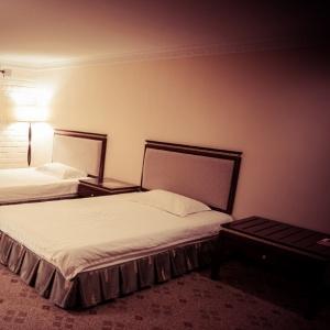 Hotel Samir