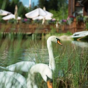 Hotel Cosmos Collection Izumrudny Les