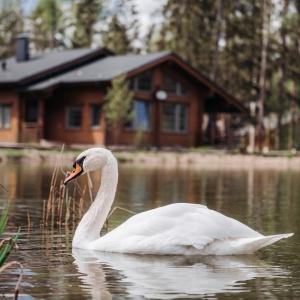 Hotel Cosmos Collection Izumrudny Les