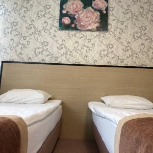 Hotel Lastochka