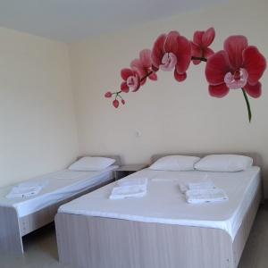 Accomodation facility Dobry Bobr