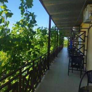 Accomodation facility Dobry Bobr