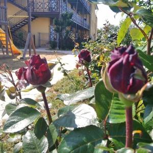 Accomodation facility Dobry Bobr